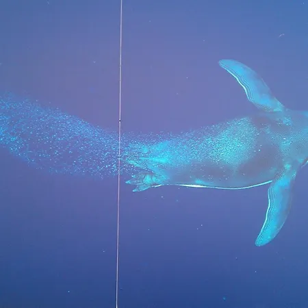 Boddenkieker 18 Daire *